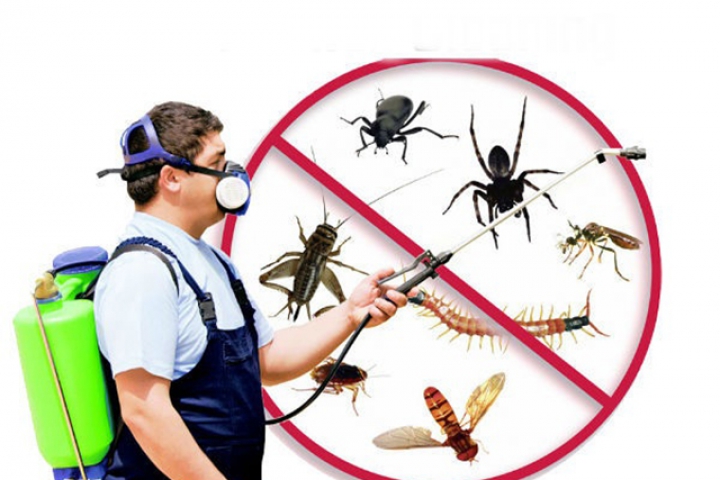 Dịch Vụ Diệt Côn Trùng 2025